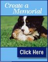 Create a Memorial